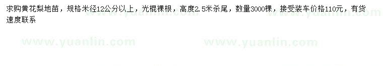 求購(gòu)米徑12公分以上黃花梨