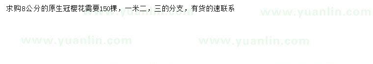 求購(gòu)8公分櫻花