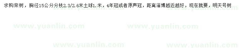 求購胸徑15公分欒樹