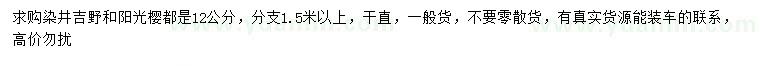 求購12公分染井吉野櫻、陽光櫻