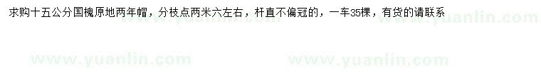 求購15公分國槐
