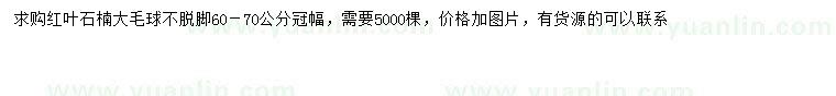 求購(gòu)冠幅60-70公分紅葉石楠球