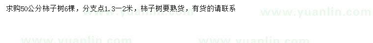 求購50公分柿子樹