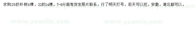 求購(gòu)22、25公分樸樹(shù)