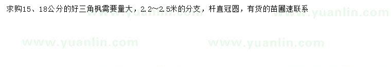 求購(gòu)15、18公分三角楓