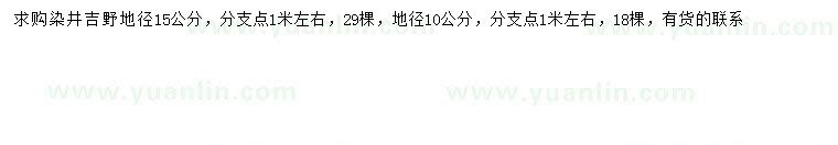 求購地徑10、15公分染井吉野櫻