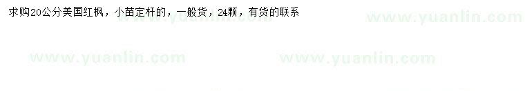 求購20公分美國紅楓