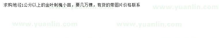 求購地徑1公分以上金葉刺槐小苗
