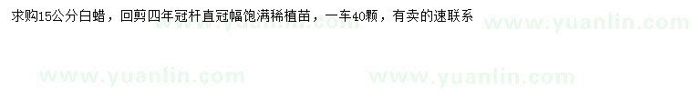求購15公分白蠟