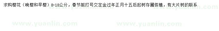 求購8-18公分櫻花