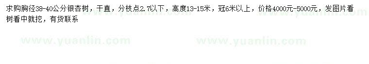 求購(gòu)胸徑38-40公分銀杏