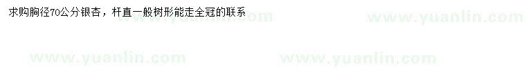 求購胸徑70公分銀杏