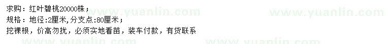 求購地徑2公分紅葉碧桃
