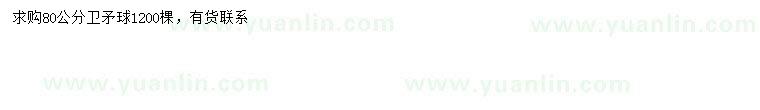 求購80公分衛(wèi)矛球