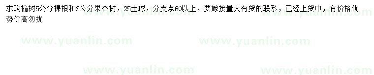 求購5公分榆樹(shù)、3公分杏樹(shù)