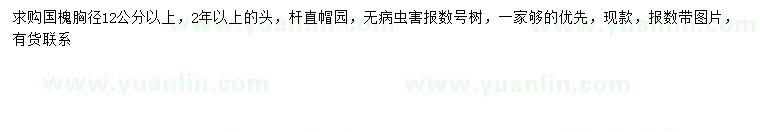 求購(gòu)胸徑12公分以上國(guó)槐
