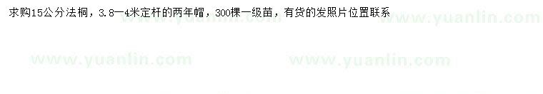 求購15公分法桐