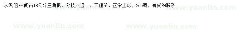 求購18公分三角楓
