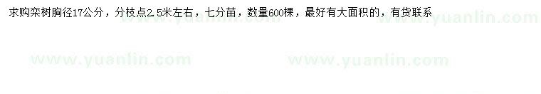 求購胸徑17公分欒樹