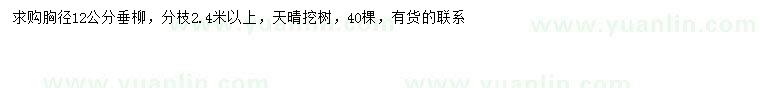 求購(gòu)胸徑12公分垂柳