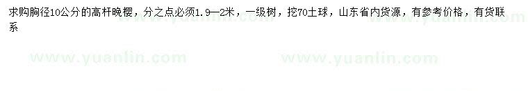 求購胸徑10公分高桿晚櫻