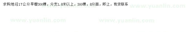 求購地徑17公分早櫻