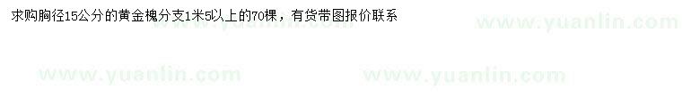 求購胸徑15公分黃金槐