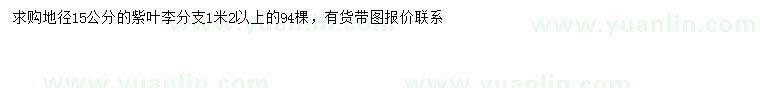 求購地徑15公分紫葉李