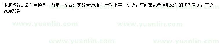 求購胸徑10公分巨紫荊