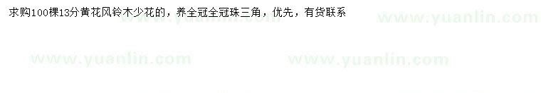 求購13公分少花黃花風鈴木