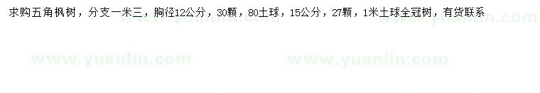 求購胸徑12、15公分五角楓