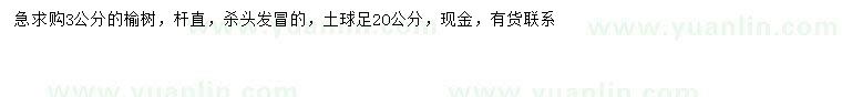 求購3公分榆樹