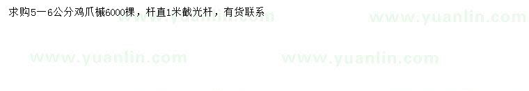 求購5-6公分雞爪槭