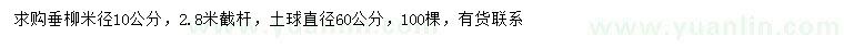 求購米徑10公分垂柳