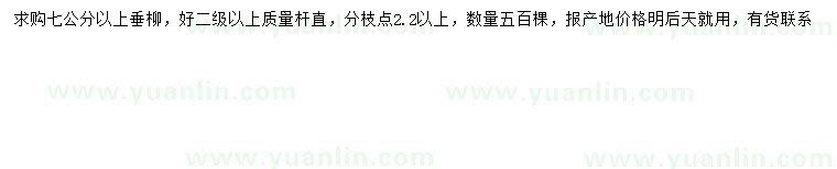 求購7公分以上垂柳