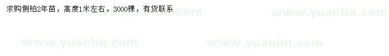 求購高1米左右側(cè)柏