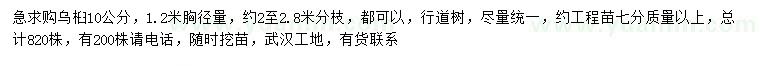 求購1.2米量10公分烏桕