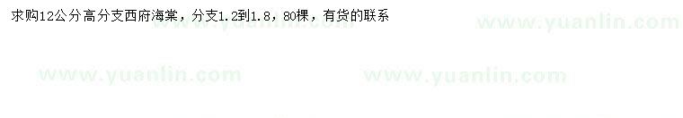 求購12公分西府海棠