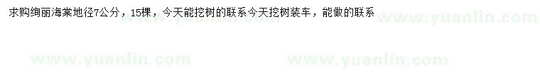 求購地徑7公分絢麗海棠