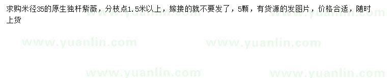 求購米徑35公分紫薇