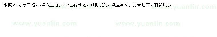 求購(gòu)21公分白蠟