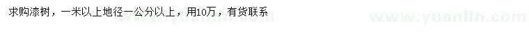 求購地徑1公分以上漆樹(shù)