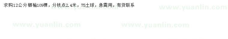 求購12公分榔榆