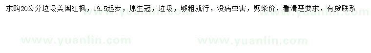求購19.5-20公分美國紅楓