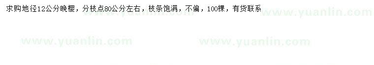 求購(gòu)地徑12公分晚櫻