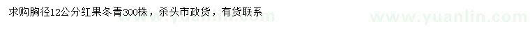求購胸徑12公分紅果冬青