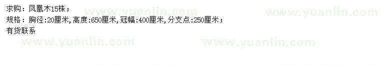 求購胸徑20公分鳳凰木