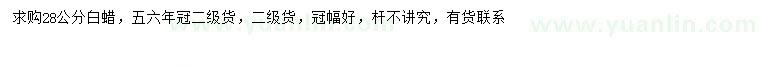 求購28公分白蠟