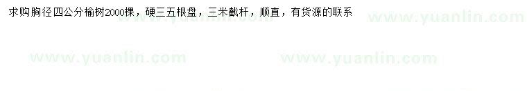 求購胸徑4公分榆樹