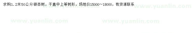 求購(gòu)50公分銀杏樹(shù)